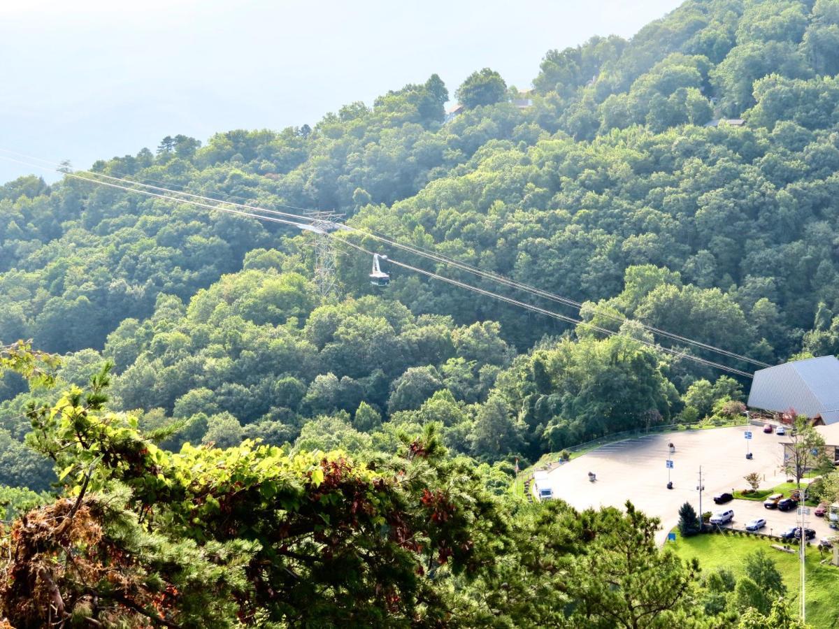 Million Dollar Views! 4 Bedroom, Sleeps 9, Close To National Park And 5 Mi To Gatlinburg! エクステリア 写真